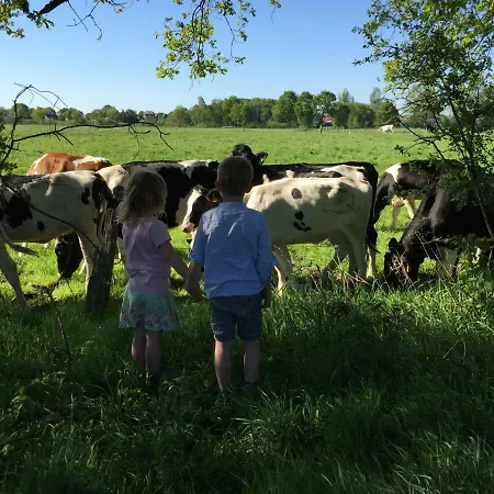 Haus Kornfeld Hébergement de vacances *