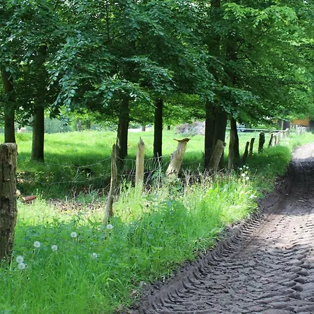 Haus Kornfeld Oberlangen