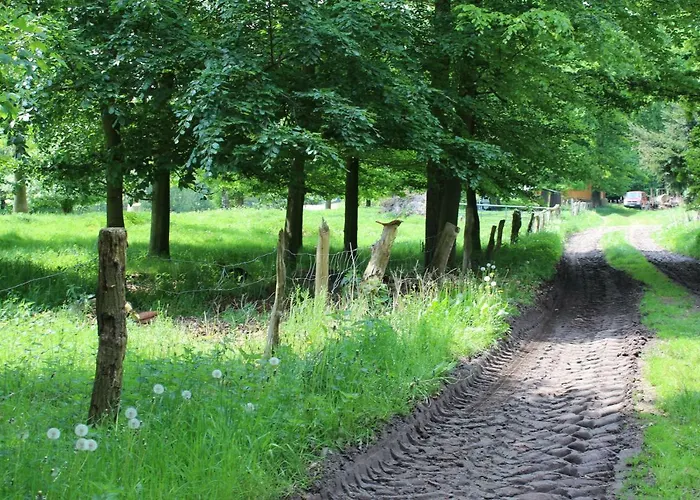 Haus Kornfeld Oberlangen
